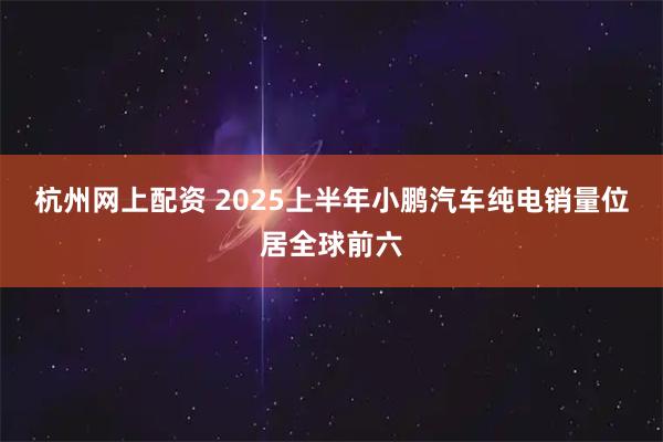 杭州网上配资 2025上半年小鹏汽车纯电销量位居全球前六